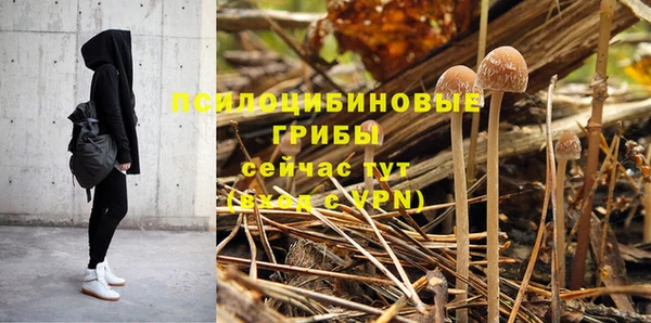 спиды Верея