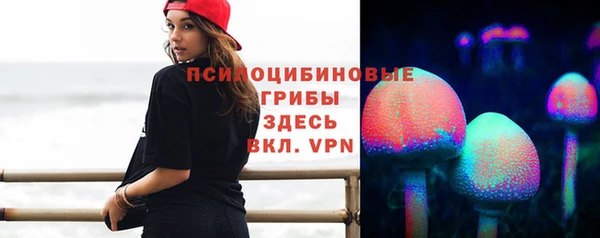 спиды Верея