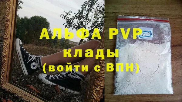 спиды Верея