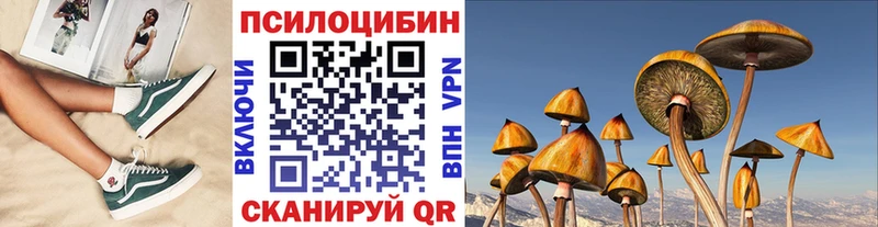 Псилоцибиновые грибы GOLDEN TEACHER  цена   Каспийск 